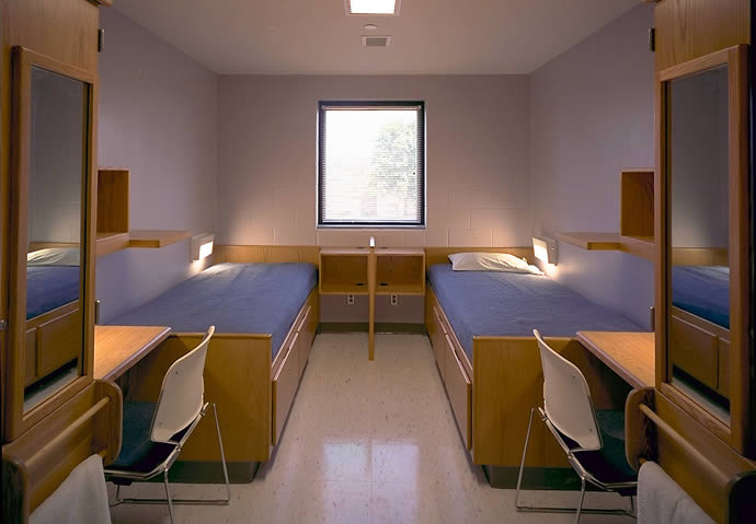 Felony Murder Rule Controversies and Reform Efforts Across States