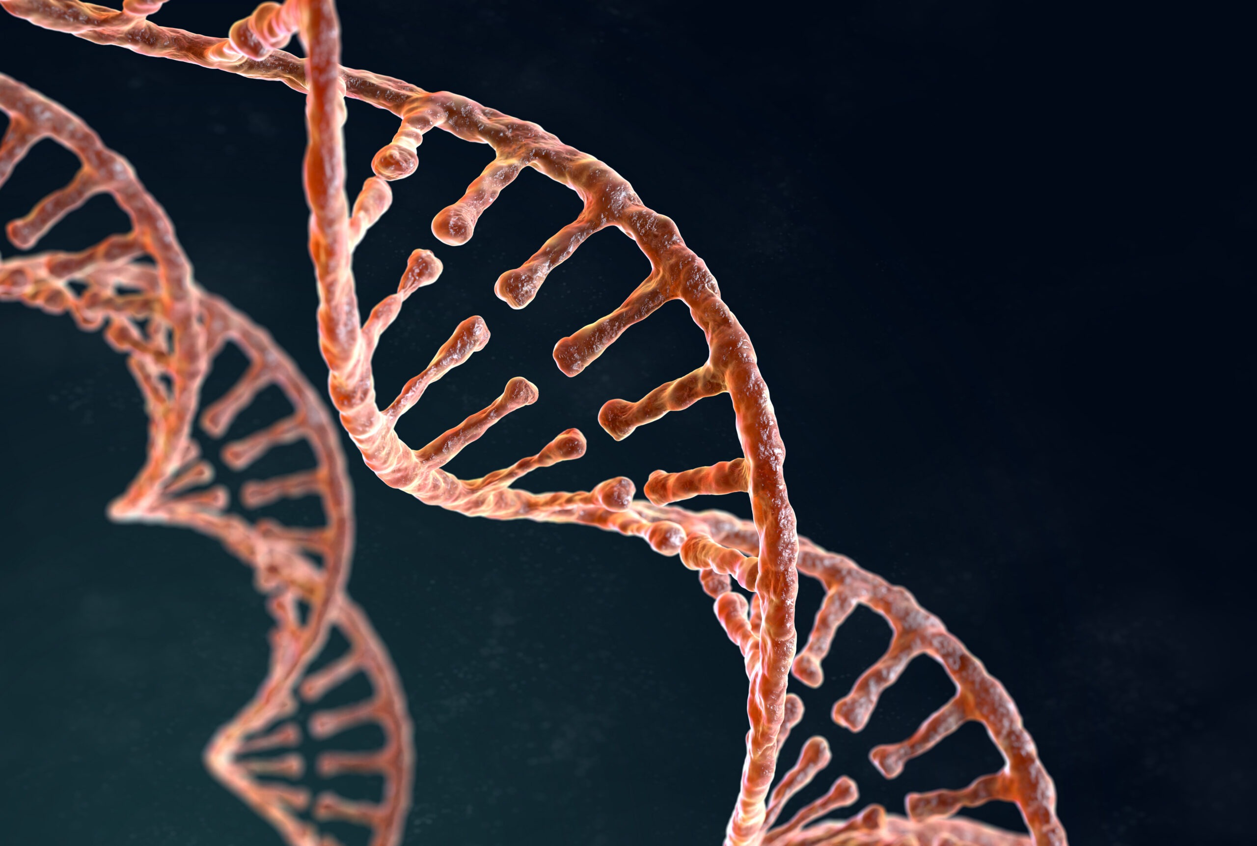 DNA Evidence Exonerations and the Legal Fight to Prove Innocence